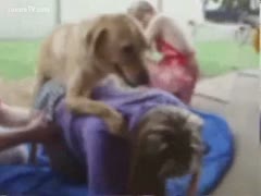 After they had a lunch outside, this hottie banged the dog.